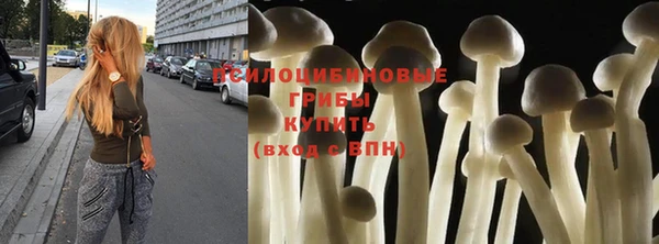apvp Абаза