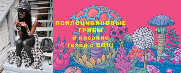 apvp Абаза