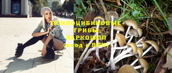 СК Калининец