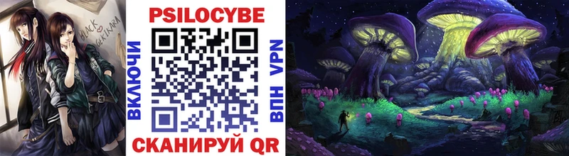 Галлюциногенные грибы Psilocybe  Тутаев 