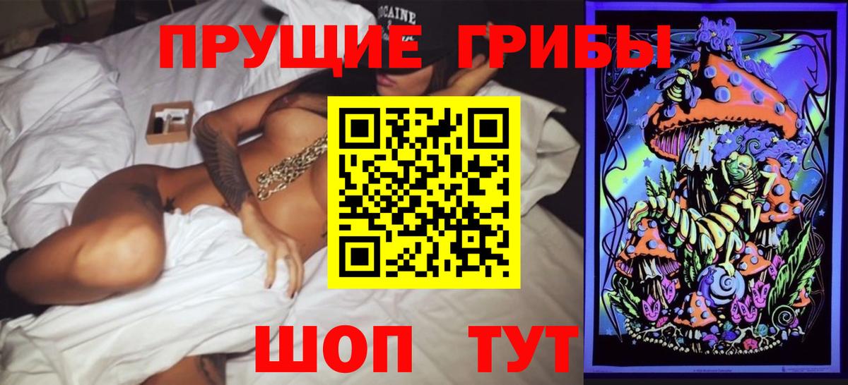 закладки  Галлюциногенные грибы GOLDEN TEACHER  Вход с VPN  Тутаев 