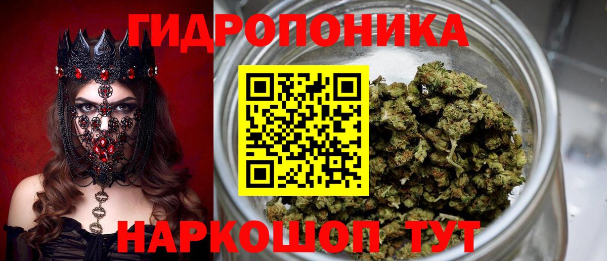 Каннабис сатива  Каннабис LSD WEED  Тутаев  Конопля семена  Вход с VPN 